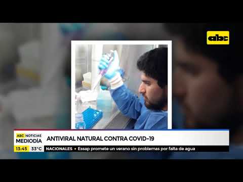 Buscan crear un antiviral natural contra la COVID-19