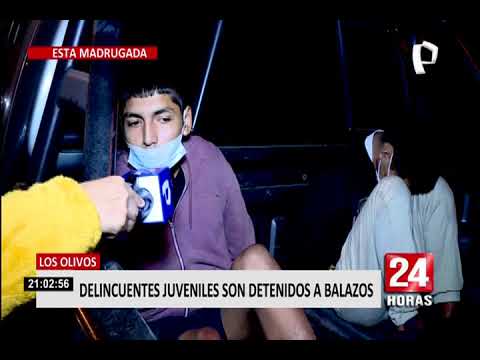 Menores de edad participaron de robo a pollería en Los Olivos