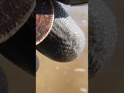 El OSCURO SECRETO del "Ganges" Argentino 💀 #shorts