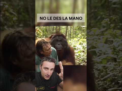 No le des la mano.#supervivencia #curiosidades #sabiasque