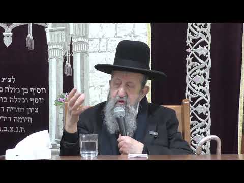 הרב בן ציון מוצפי • נתיבות שידור חי פרשת ויגש • בית הכנסת בוכריס