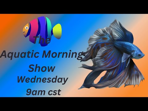 The Aquatic Morning Show The Aquatic Morning Show is a YouTube channel that features videos about all things aquatic, includi