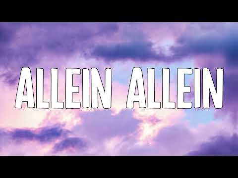 Ufo361 & Pashanim - allein allein (Lyrics)