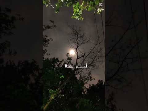 كن في الدنيا غرب 💗🌟