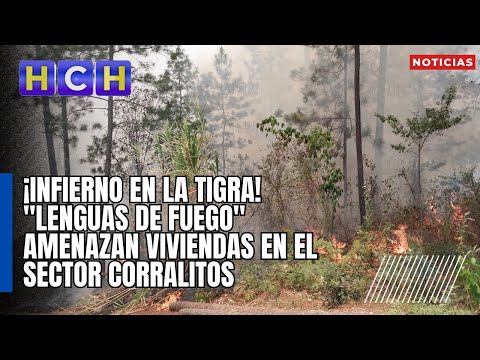 ¡Infierno en La Tigra! Lenguas de fuego amenazan viviendas en el sector Corralitos