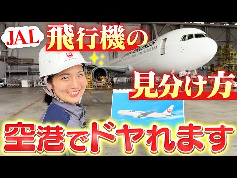 これを見ればあなたもJALの飛行機見分け方マスターです