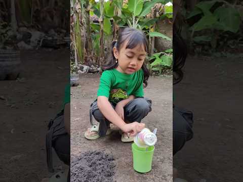 Buat minuman dari tanah #riaab22 #trending