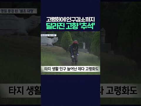 고령화에 인구 감소까지    '벌초 대행'이 대세가 된 고향의 추석 #<strong>벌초대행</strong> #추석