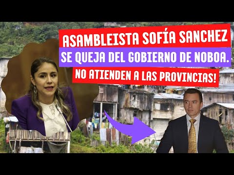 ¡Grito de auxilio desde Azuay! Sofía Sánchez exige soluciones para la vialidad abandonada
