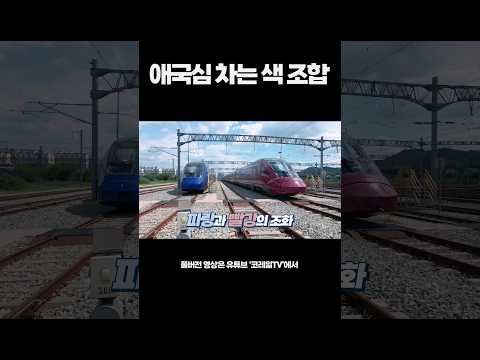애국심 차는 <strong>색</strong> 조합