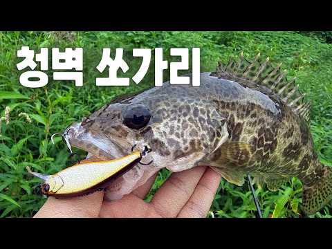 직벽 아래 물골자리 공략 / <strong>공주</strong> 금강 반포면 직벽자리