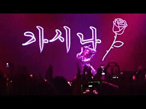 190604 SUNMI 'WARNING' IN AMSTERDAM | SUNMI - GASHINA [FANCAM]