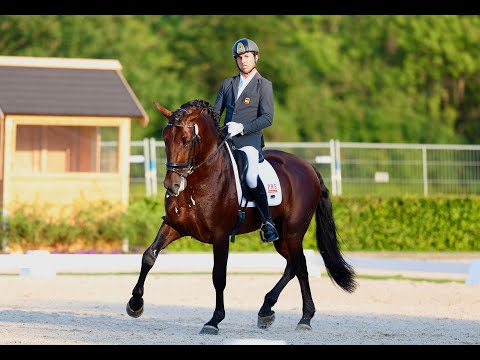 Pedro Hernández y Ofendido Mango en la Small Final de 5 años (70.400%)