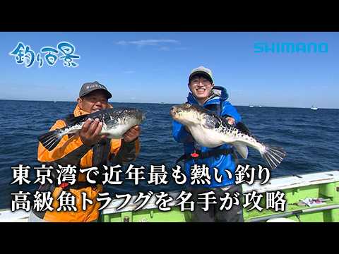 【釣り百景】#637 東京湾で近年最も熱い釣り 高級魚トラフグを名手が攻略