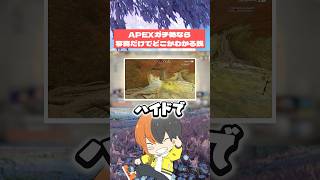 APEXガチ勢なら写真見ただけでどこか簡単にわかる説 #おしゅ #vtuber #apex