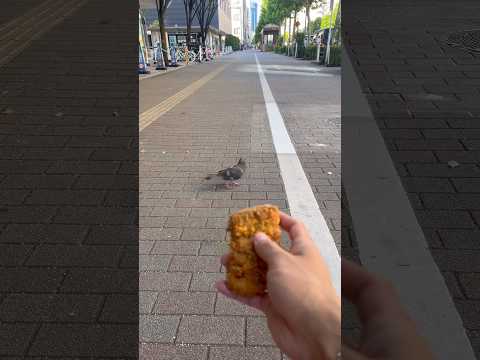 悪い事しました、いい事しましたこれでプラスマイナスゼロです。これはチャーハンですか?いいえ、餡掛けチャーハンです。@shunpix_x #オバクルメン