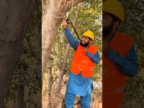 Kory Bache NY birds ko bacha Lia 🥹🙏 #shorts #viral #reels