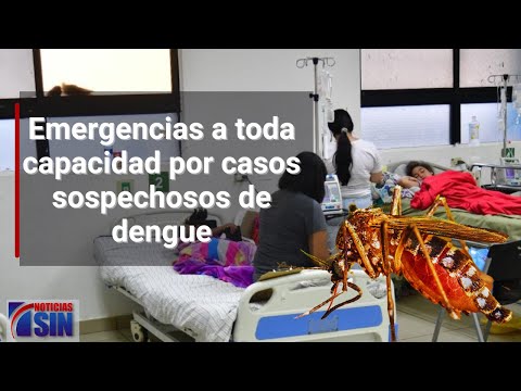 Emergencias a toda capacidad por casos sospechosos de Dengue
