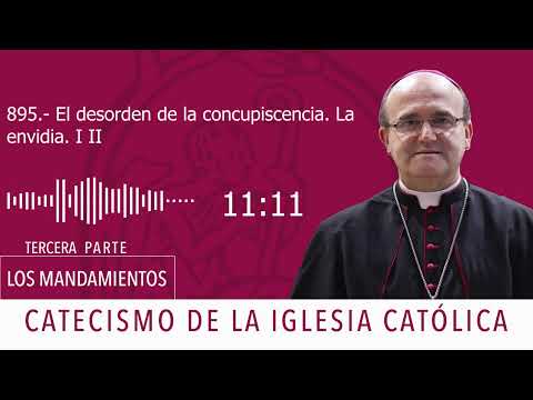 El desorden de la concupiscencia. La envidia I