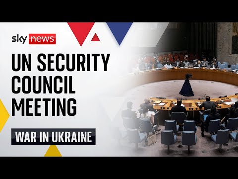 Watch live: United Nations Security Council meeting | international peace and security