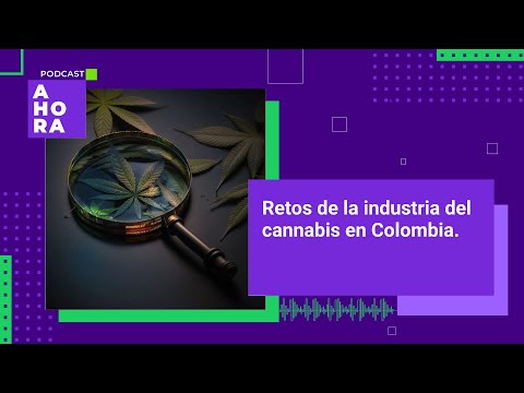 ¿Qué retos tiene por delante la industria del cannabis medicinal en Colombia? | 02/04/2024