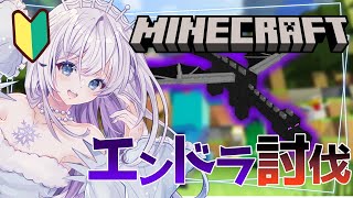 【Minecraft】初心者エンダードラゴン討伐チャレンジ! おひさしぶり編 #10【雨彗ユキ】
