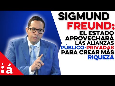 Sigmund Freund: el Estado aprovechará las alianzas público-privadas para crear más riqueza