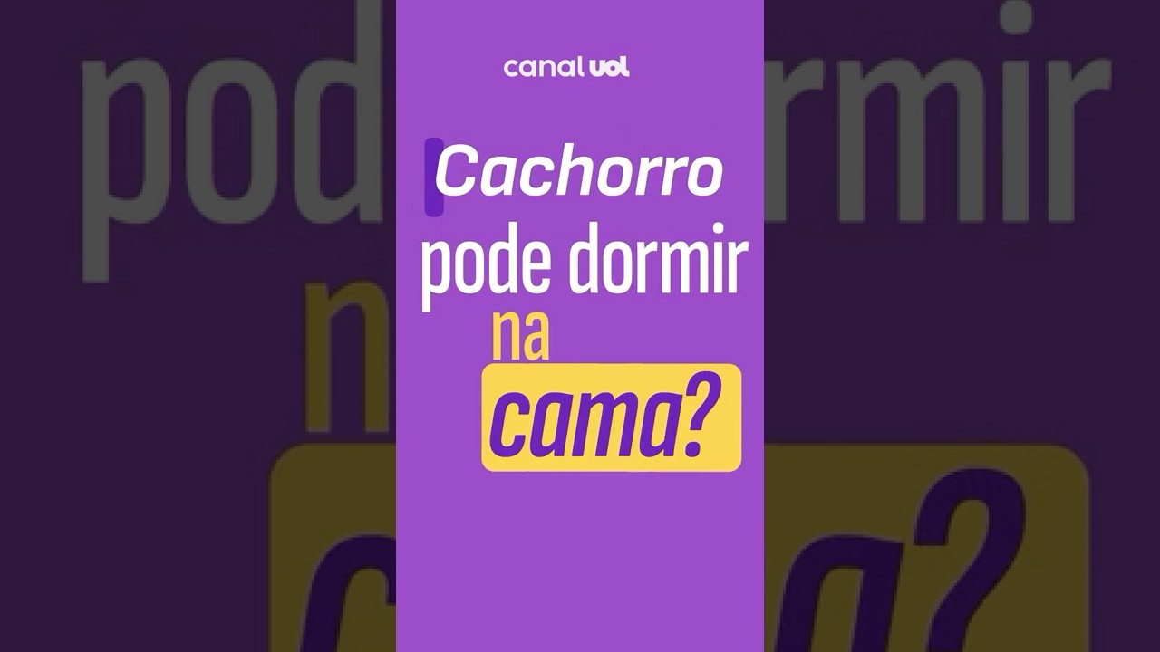 Pode ou não pode dormir com cachorro na cama Faz mal pra saúde E pro pet