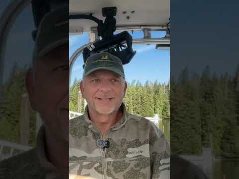 Sasquatch Drinking Water: A Hunting Strategy