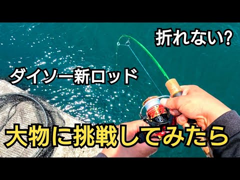 ダイソーから出た1000円の新ルアーロッドで大物釣りに挑戦したら極太の大物が!!