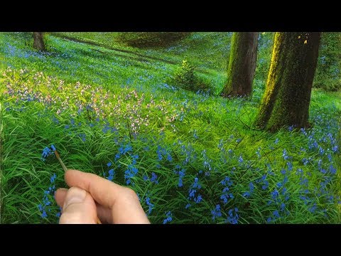 #134 How to Paint A Bluebell Scene