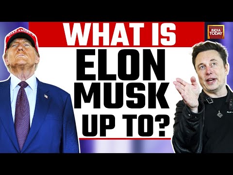 What Is Elon Musk Actually Doing After Being Made DOGE-In-Chief By Donald Trump?