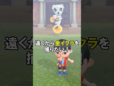 【金イクラバグ】遠くから取れる！？ 【あつ森】@ほのげ