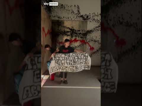 Climate activists vandalise Messi's home