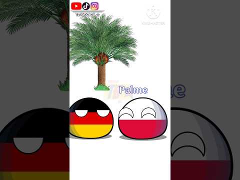 Pohon sawit dalam berbagai bahasa 🌴 || CB #tarkisiaball #countryballs
