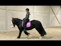 Recreation pony Talented Tinker