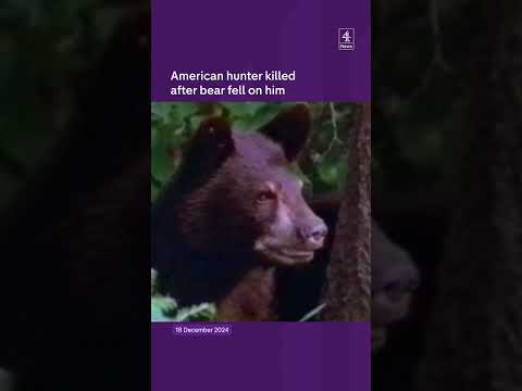 US hunter killed by falling bear