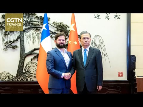 Máximo legislador chino se reúne con presidente chileno