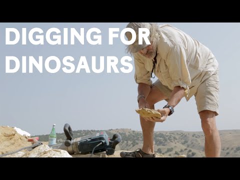 Paleontologists dig for Jurassic dinosaur fossils