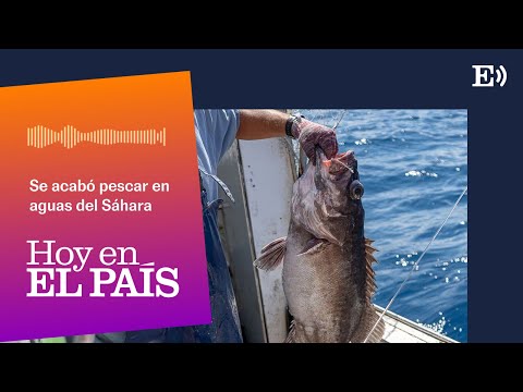 Se acabó pescar en aguas del Sáhara, ¿y ahora qué? | PODCAST Hoy en EL PAÍS