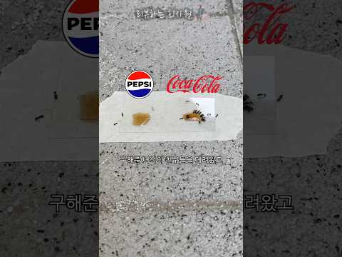 펩시 vs 코카콜라