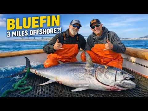 Bluefin tuna 3 miles off oregon inlet (quota closing fast!) video thumbnail