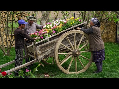 Making a Flowerbed from an Old Cart, Landscaping