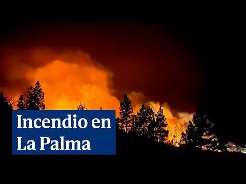 Un incendio en Puntagorda (La Palma) quema ya 140 hectáreas y pasa a nivel dos de gravedad