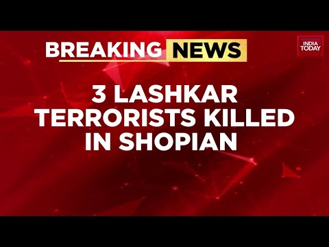 Three Lashkar terrorists killed in Shopian encounter, including commander Shahid Kutte
