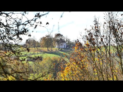 Geopfad Marsberg und Kilianstollen (Kilian-Stolln) • Mitte Oktober 2025