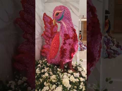 😍 WOW Eyes❤️#shorts#ytshorts#youtubeshorts#viral#reels#shortsfeed#explore#trending#song#funny#tiktok