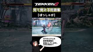 【鉄拳8】見て覚える用語集【ぼっしゃが】