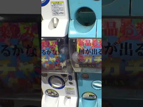 何が出るのか全く分からない恐怖ガチャやってみたww＃ガチャ