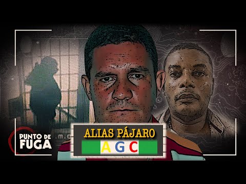 ALIAS PÁJARO SE FUGÓ: el paramilitar más buscado de Colombia planeó la FUGA DE MATAMBA Impacto Mundo